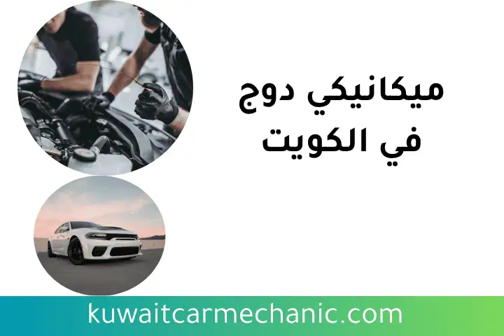 ميكانيكي دوج