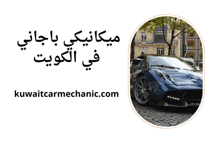 ورشة ميكانيكي باجاني