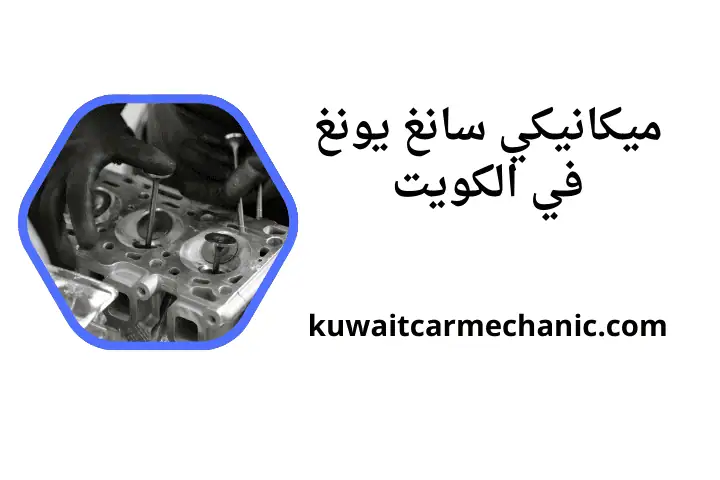 خدمة ميكانيكي سانغ يونغ