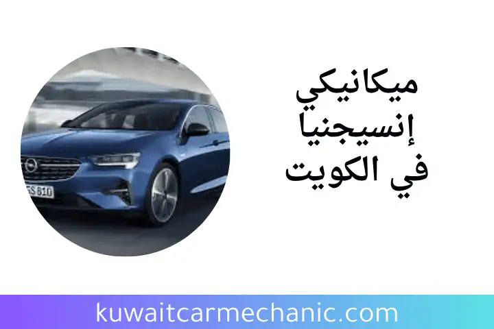 ورشة ميكانيكي إنسيجنيا